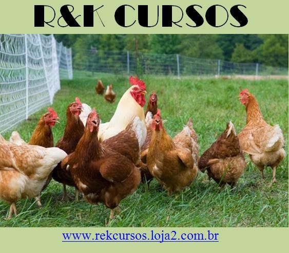 CURSO CRIAÇÃO DE GALINHA E FRANGO CAIPIRA - PRODUÇÃO DE OVOS E CARNES