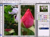 CURSO DE PHOTOSHOP EM VIDEO AULAS EM DVD