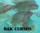 CURSO PSICULTURA:CRIAÇÃO DE PEIXES